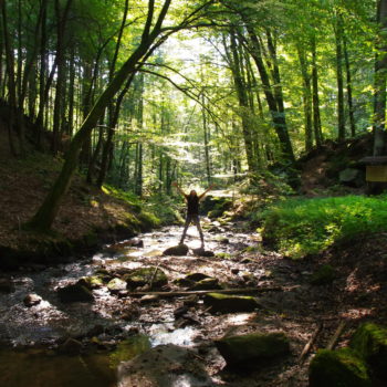 Coaching im Wald