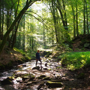 Waldbaden