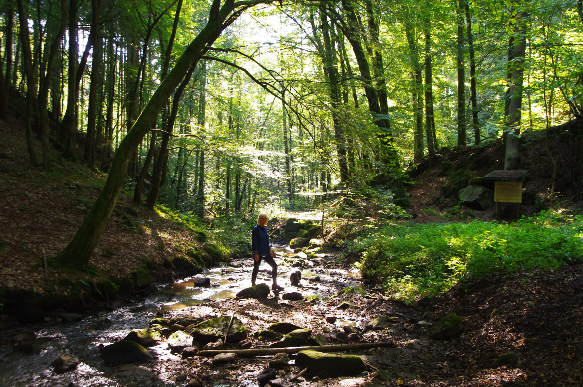 Waldbaden